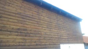20161113_160802 (Medium)